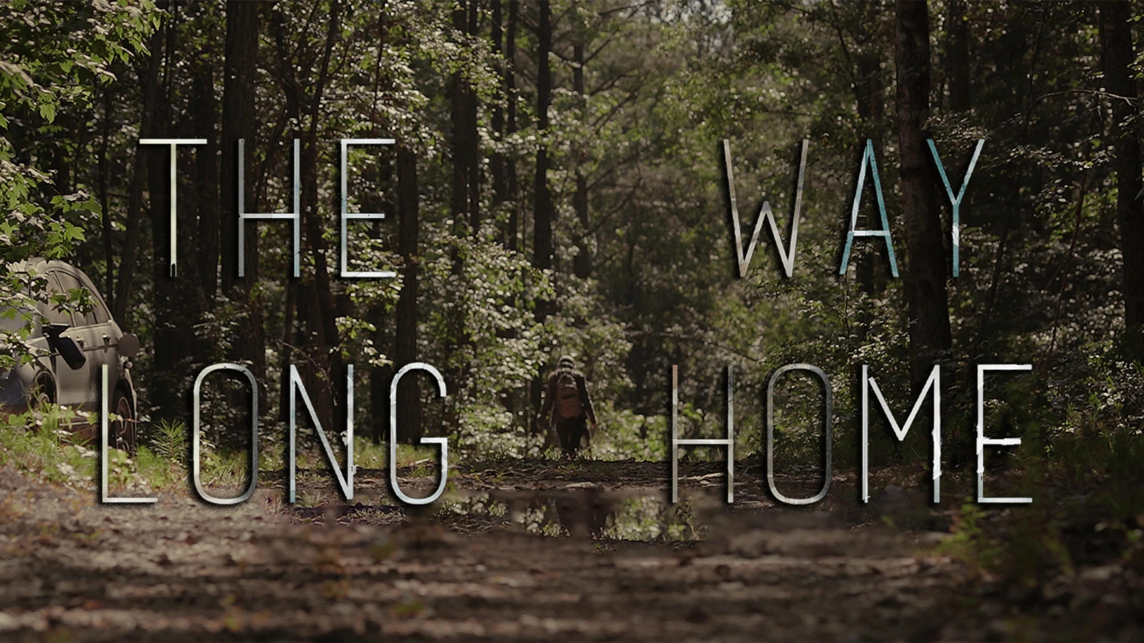 The Long Way Home poster